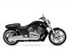 V-Rod Muscle®