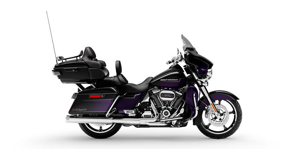 Royal Purple Fade/Royal Black